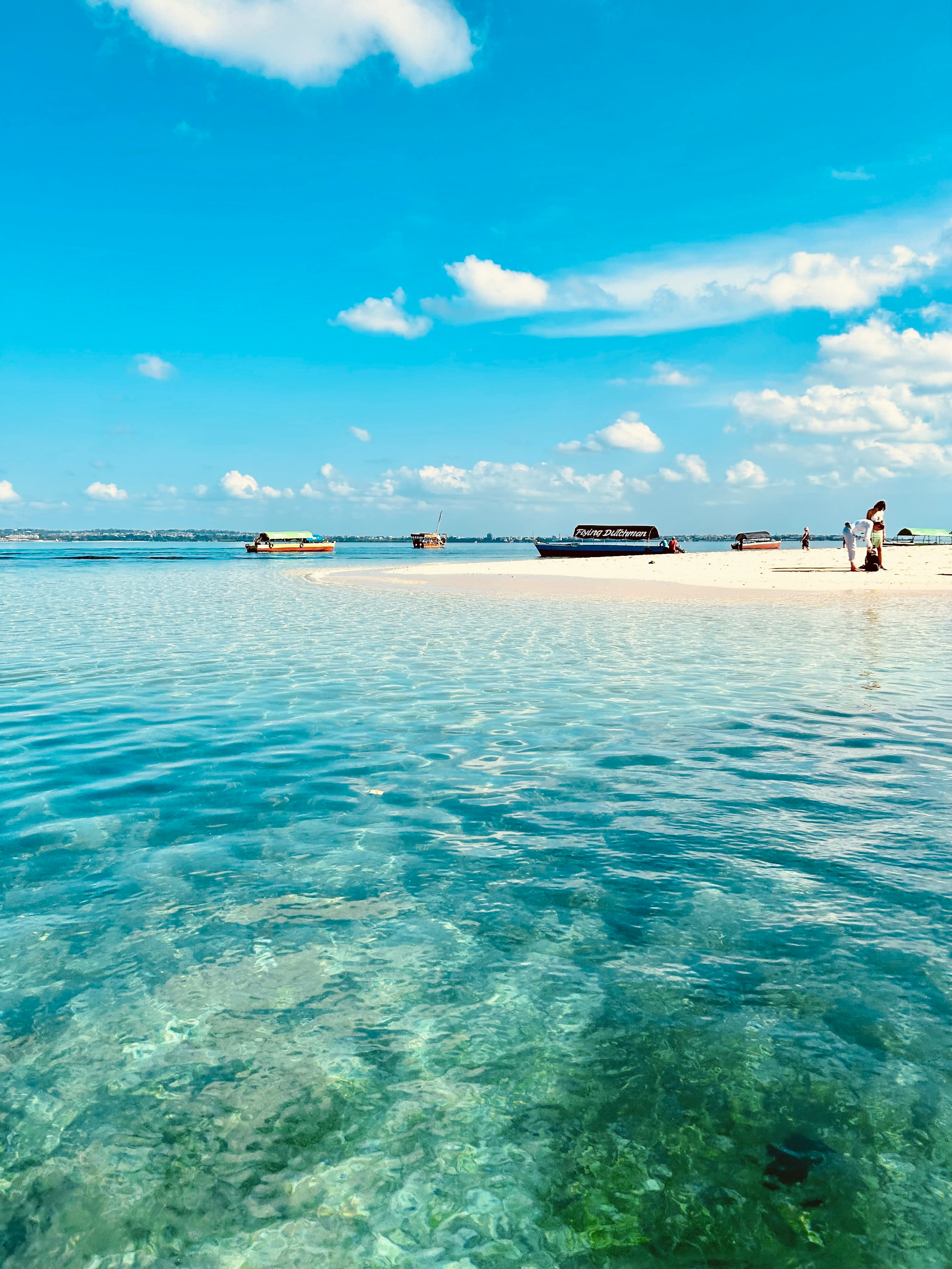 White sand beach surrounded by palm trees
