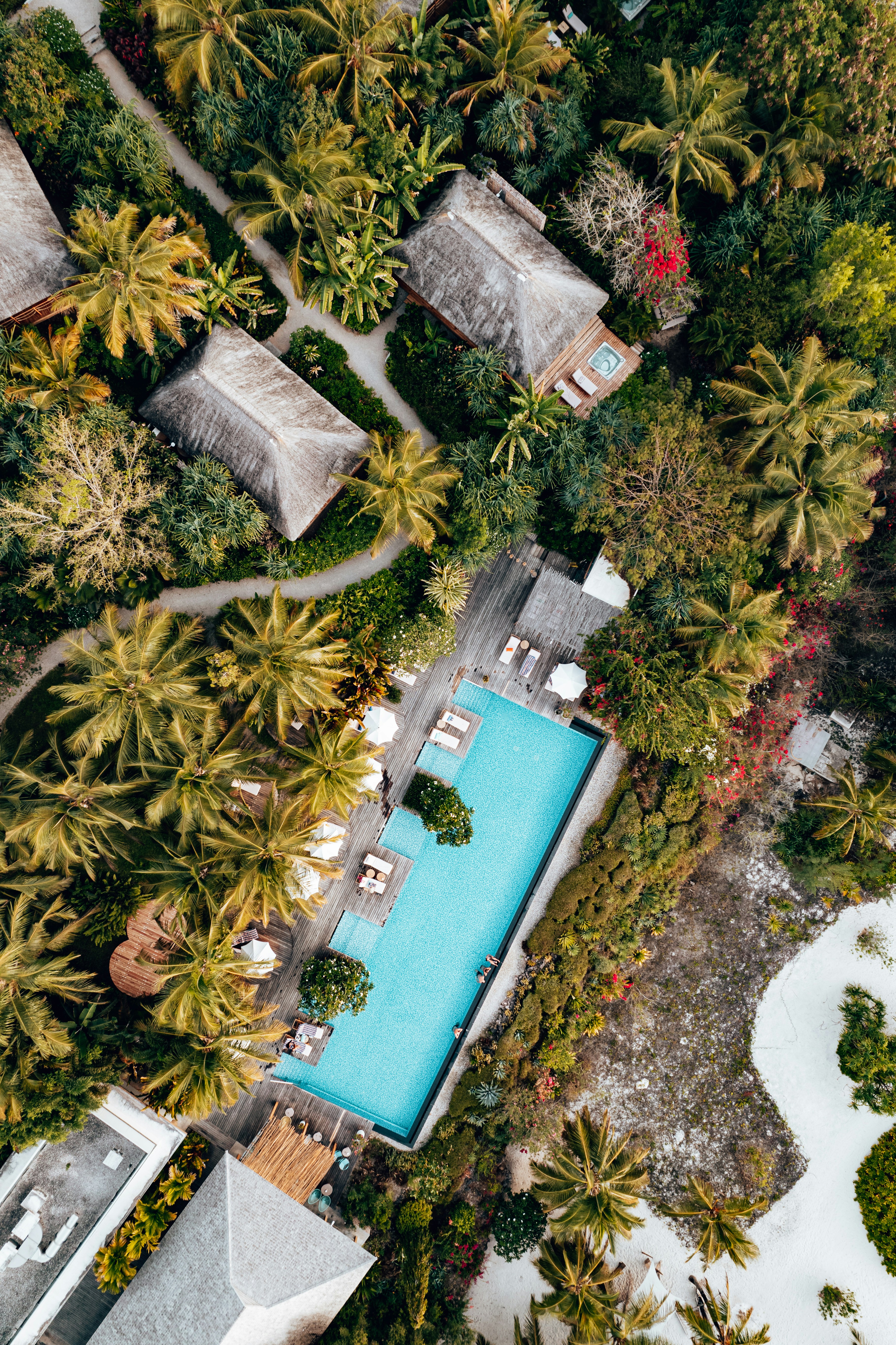 Aerial view of a tropical Zanzibar hotel surrounded by palm trees and a swimming pool