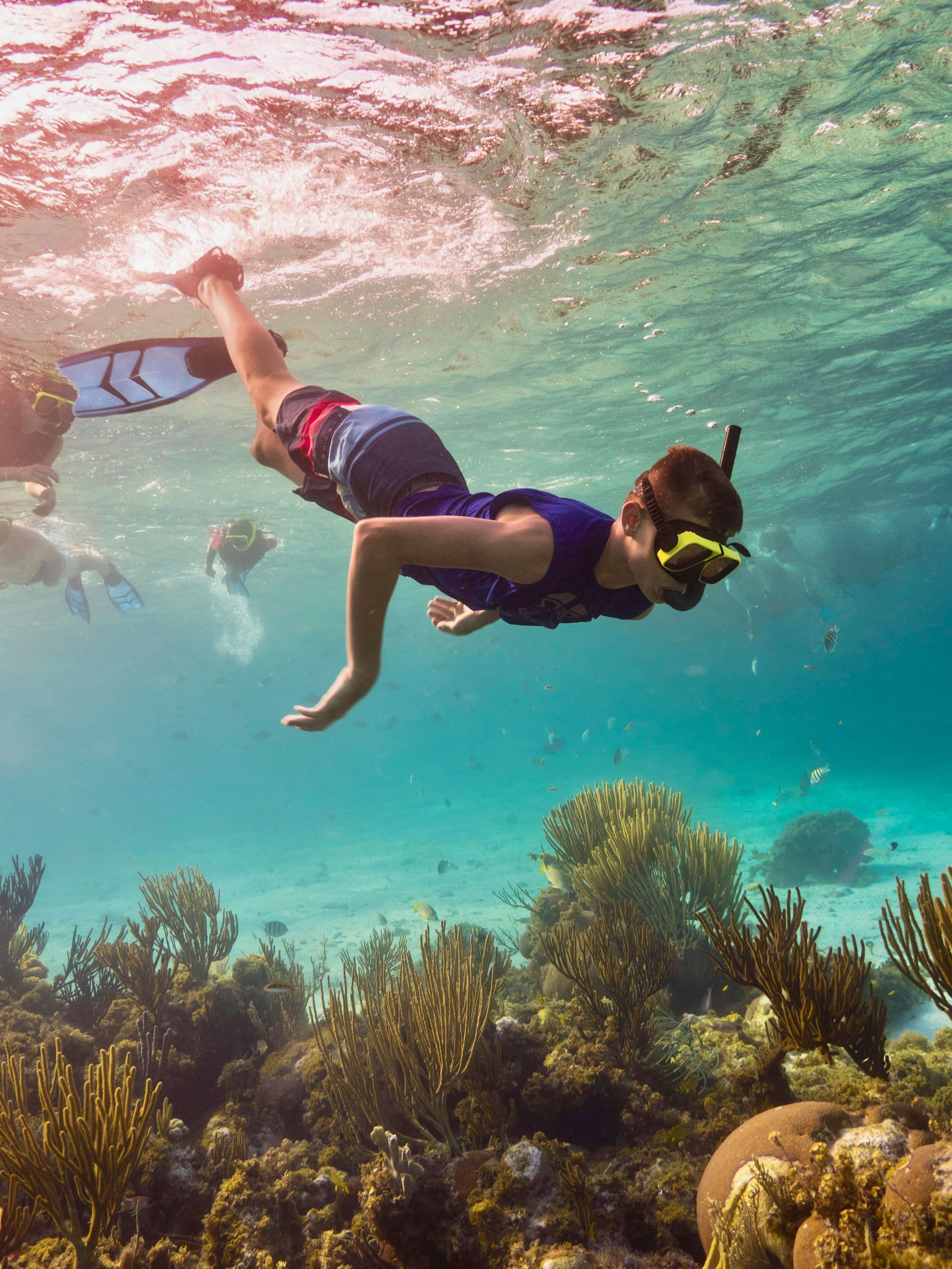 Colorful coral reefs and snorkelers exploring the marine life in Zanzibar